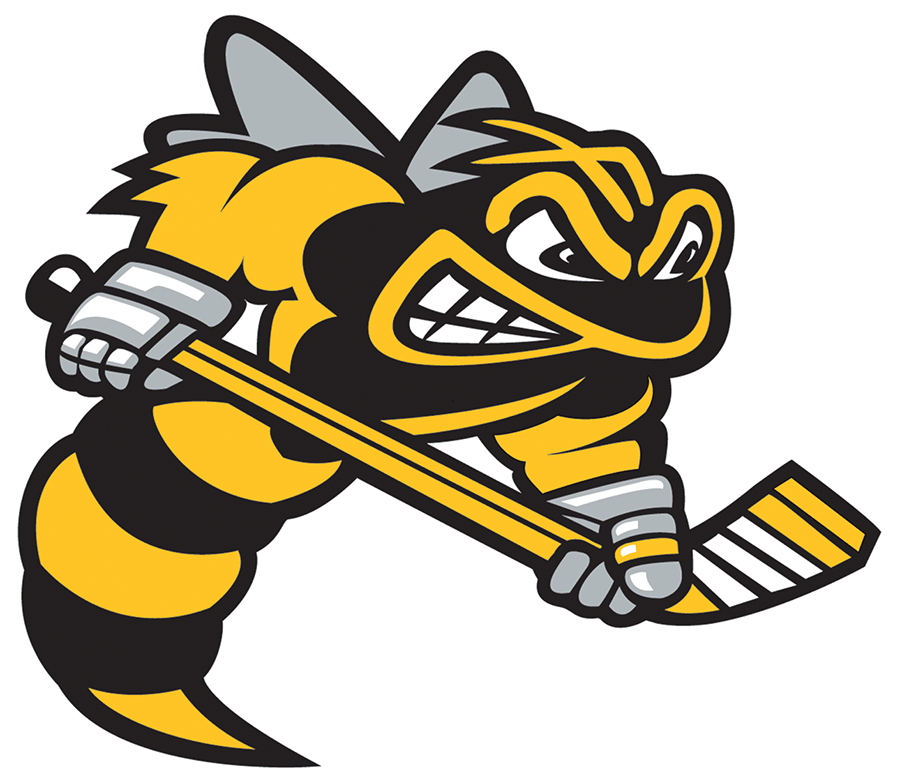 Sarnia Sting 2019 20-Pres Primary Logo vinyl decal